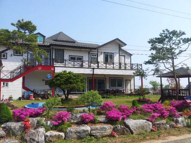 아쿠아의 봄